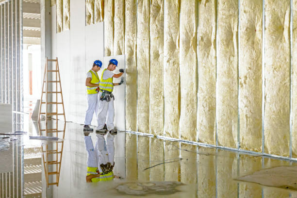 Best Energy Efficiency Insulation in New Eagle, PA